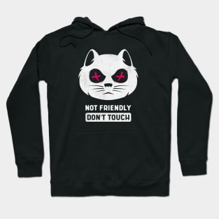 Not Friendly Do Not Touch Hoodie